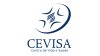CEVISA CURSOS